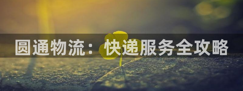 28圈充值不到账怎么回事