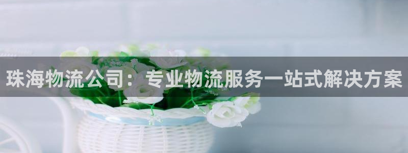 28圈那个才是充值账号