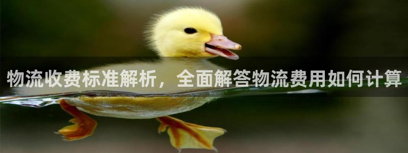 28圈里的财神