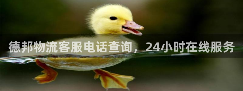 28圈人工客服电话是什么