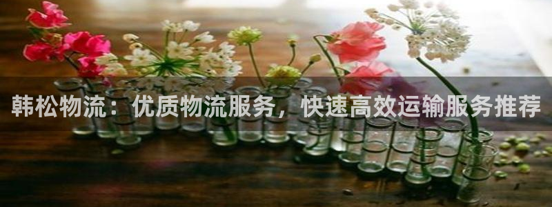 28圈麻将胡了