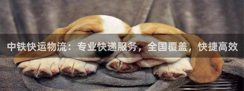 28圈怎么申请代理