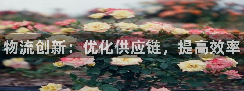28圈口