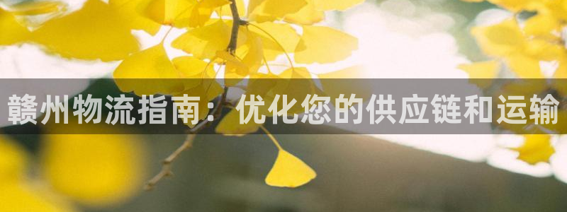 28圈比特28真实吗