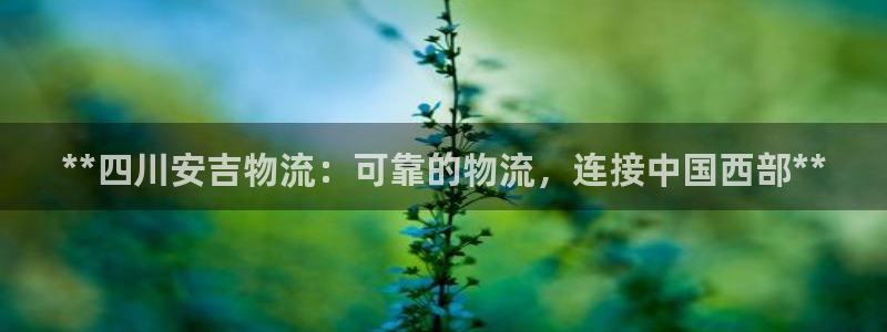 28圈模拟器