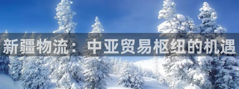 28圈娱乐官网网页