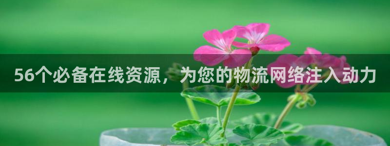 28圈注册链接入口
