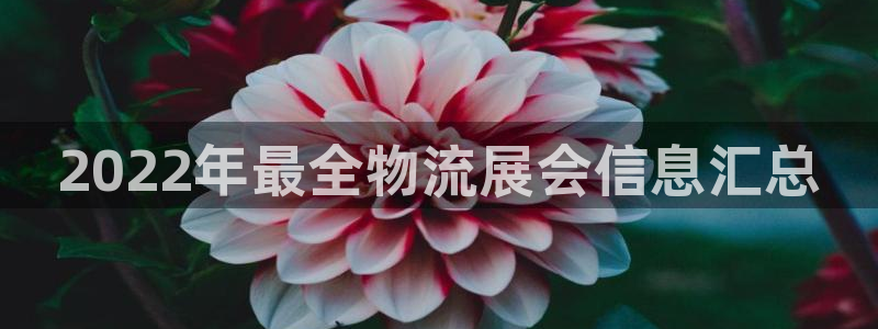 28圈如何看计划
