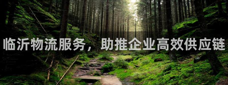 28圈注册