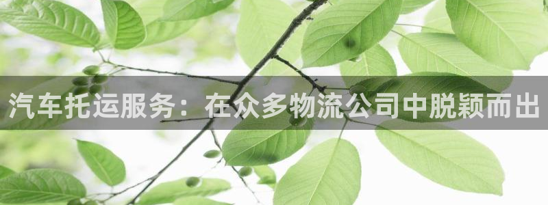 南宫28圈怎么注册