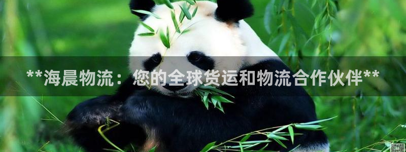 28圈app怎么注册账号