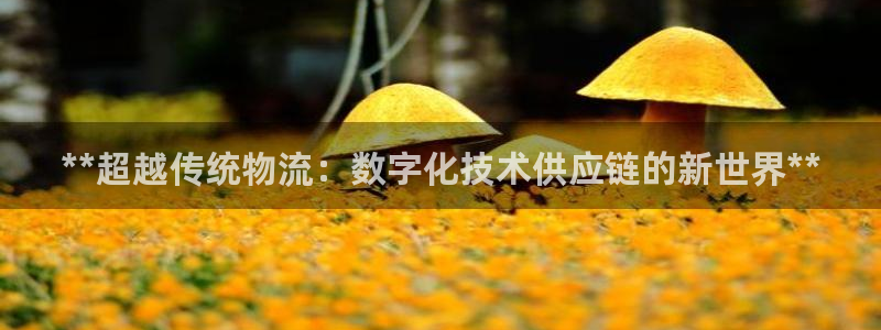 28圈黑不黑