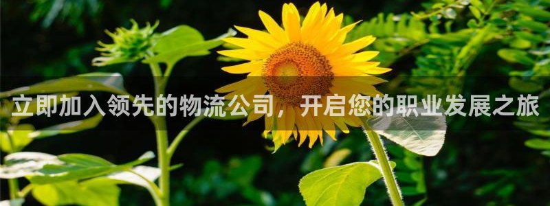 28圈.ccm南宫