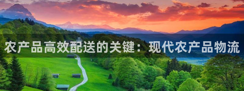 28圈注册网址