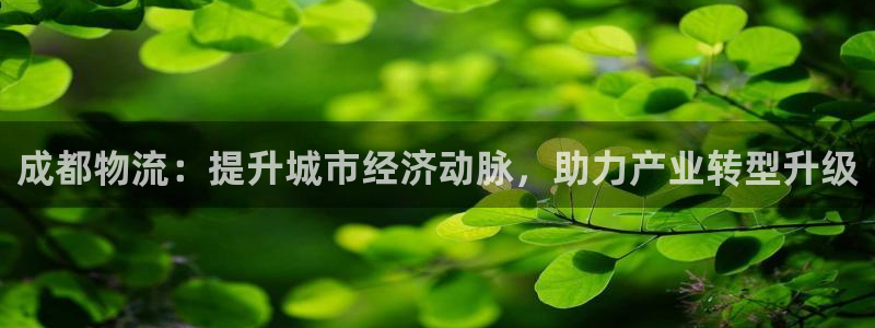 28圈app能退款吗