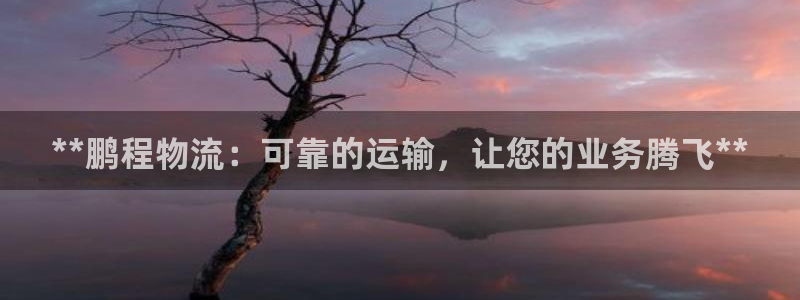 28圈官方官网