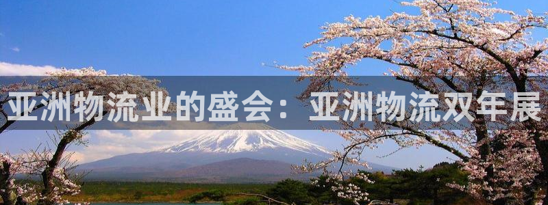28圈加拿大最新版