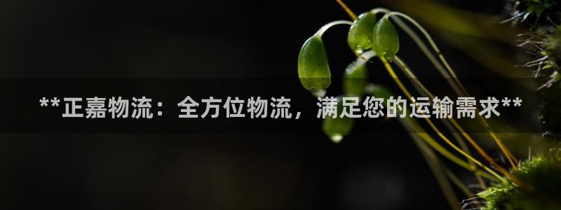 28圈连接
