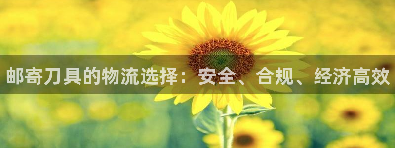28圈注册网站链接怎么弄