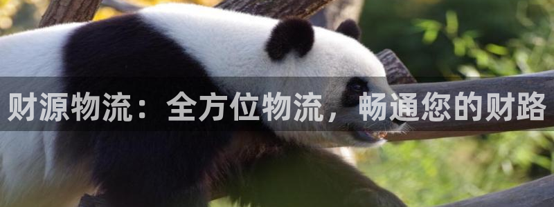 28圈黑平台吗