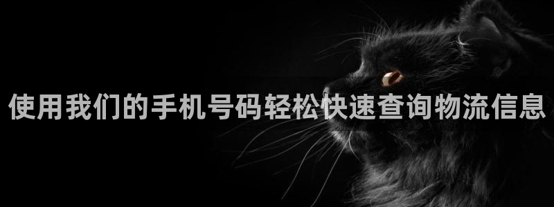 28圈官方官网