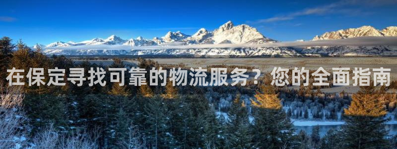 28圈注册步骤：在保定寻找可靠的物流