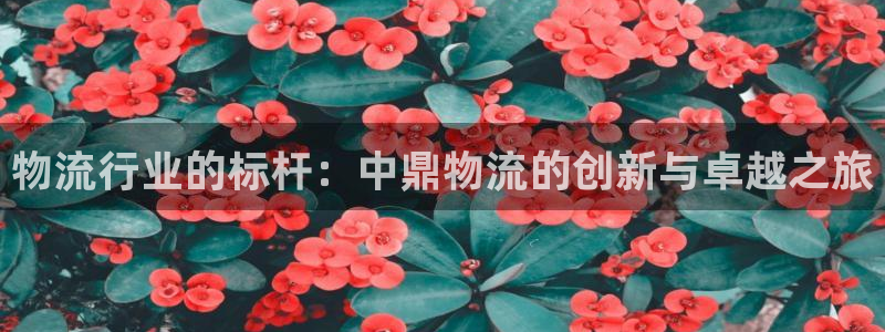 28圈推广链接是多少个