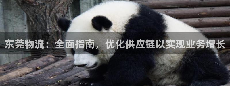28圈注册网站链接怎么弄：东莞物流：