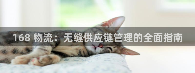 28圈相信品牌的力量