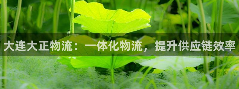 28圈圈助手