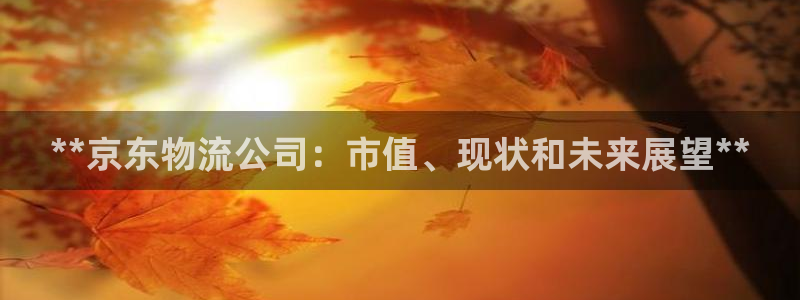 28圈登陆网：**京东物流公司：市值