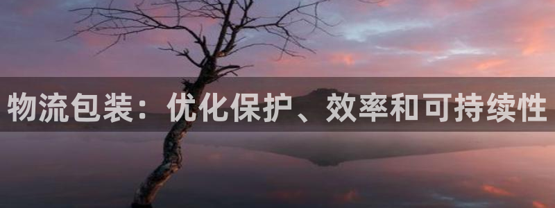 28圈注册与教程：物流包装：优化保护