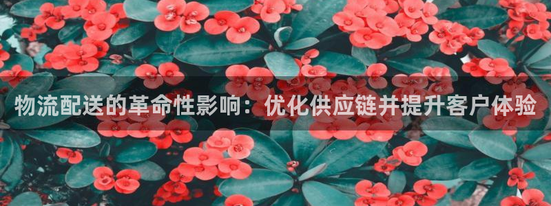 28圈网站怎么注册：物流配送的革命性