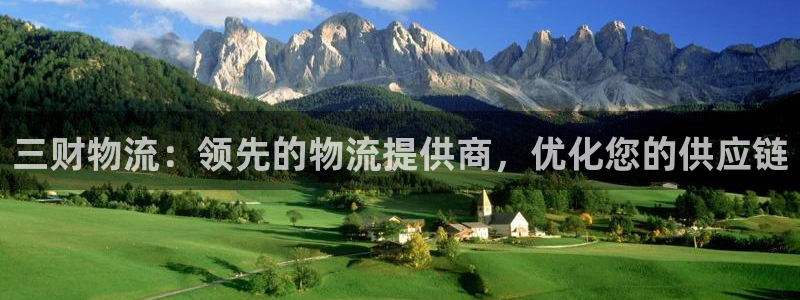 28圈注册二维码：三财物流：领先的物
