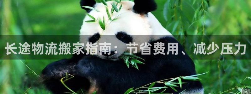 28圈口戒指是多大