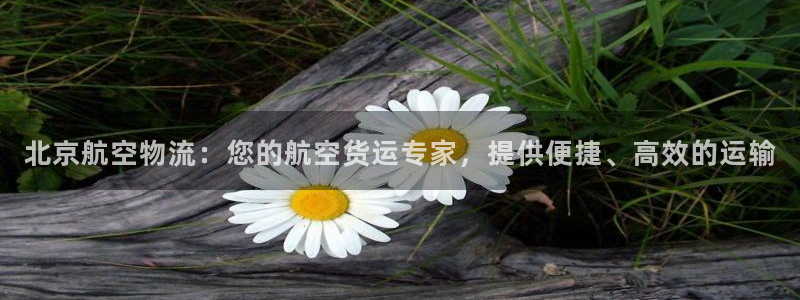 28圈官网链接