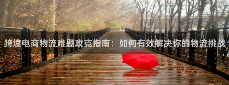 28圈网赌有什么风险：跨境电商物流难