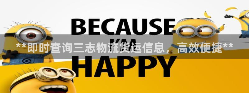 28圈注册步骤：**即时查询三志物流