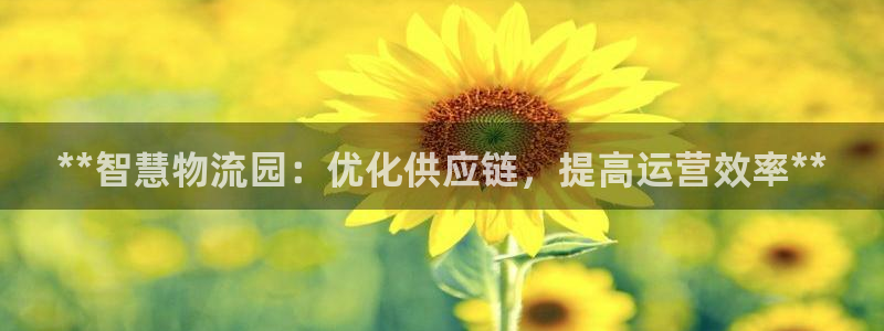 28圈在线预测官网：**智慧物流园：