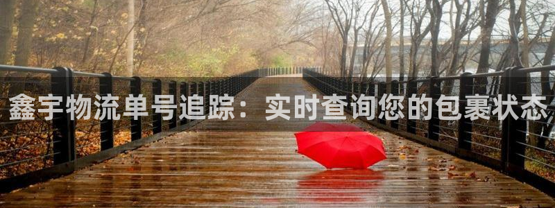 28圈ccm游戏