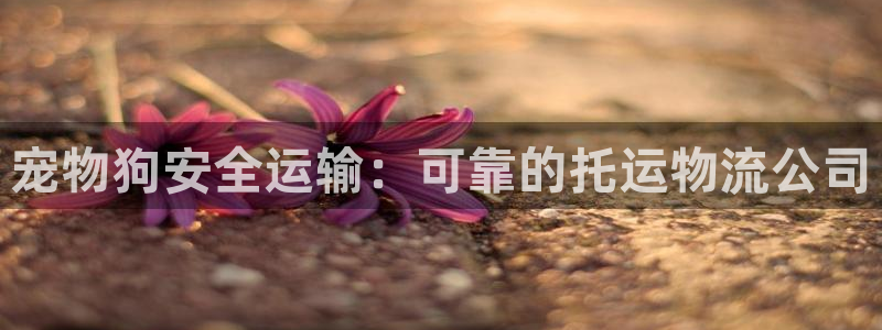 28圈cn