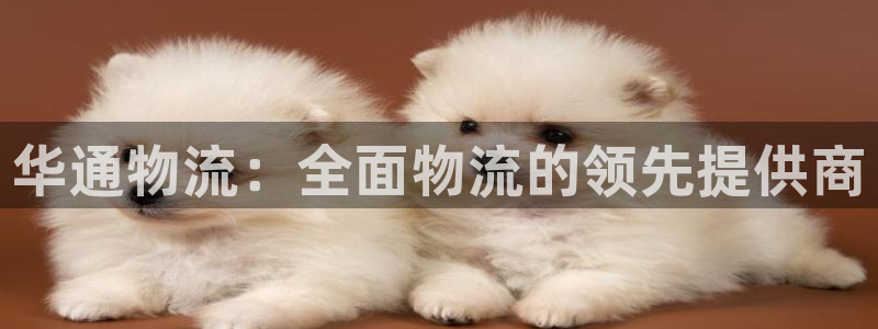 28圈能赢钱吗