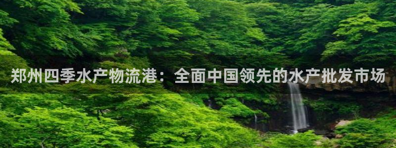 加拿大28圈数字规则