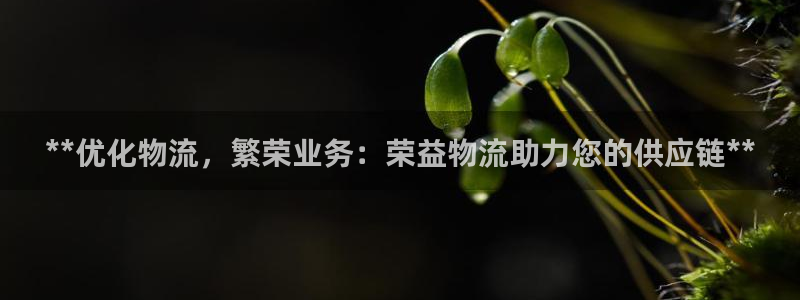 28圈百度百科：**优化物流，繁荣业