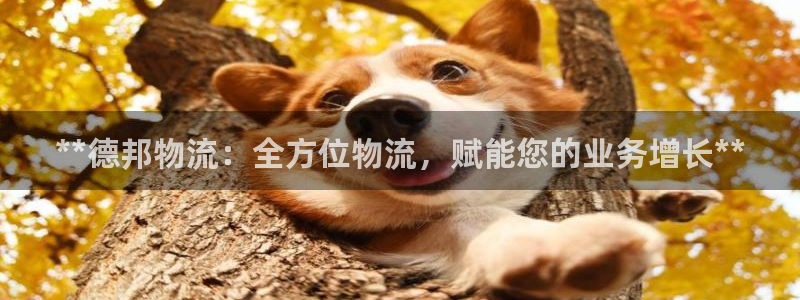 28圈充值不到账怎么办