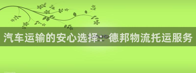 28圈登录不上咋回事：汽车运输的安心