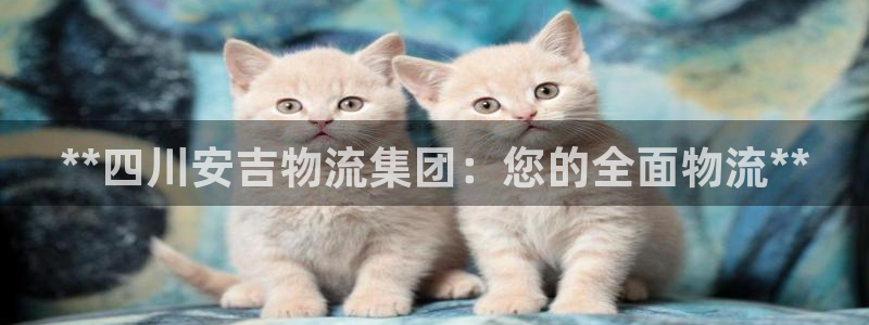 28圈网赌有什么风险