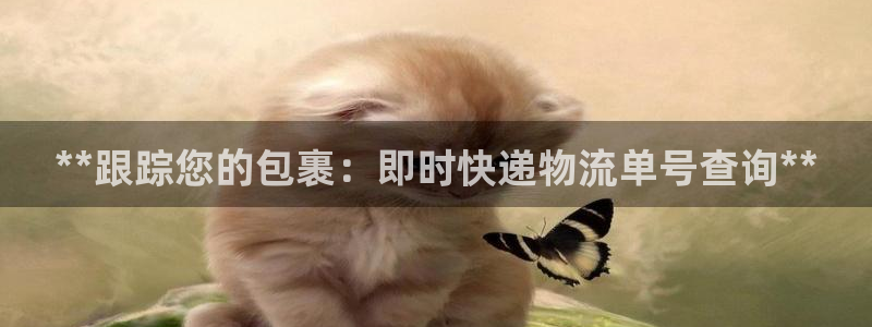 28圈注册流程：**跟踪您的包裹：即