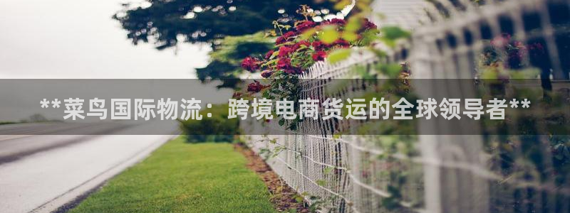 28圈.ccmpc28