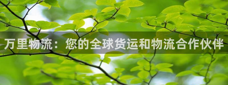 28圈注册账号：万里物流：您的全球货